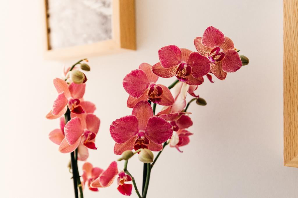 Bed and Breakfast Adriano Augusto Roma Camera foto