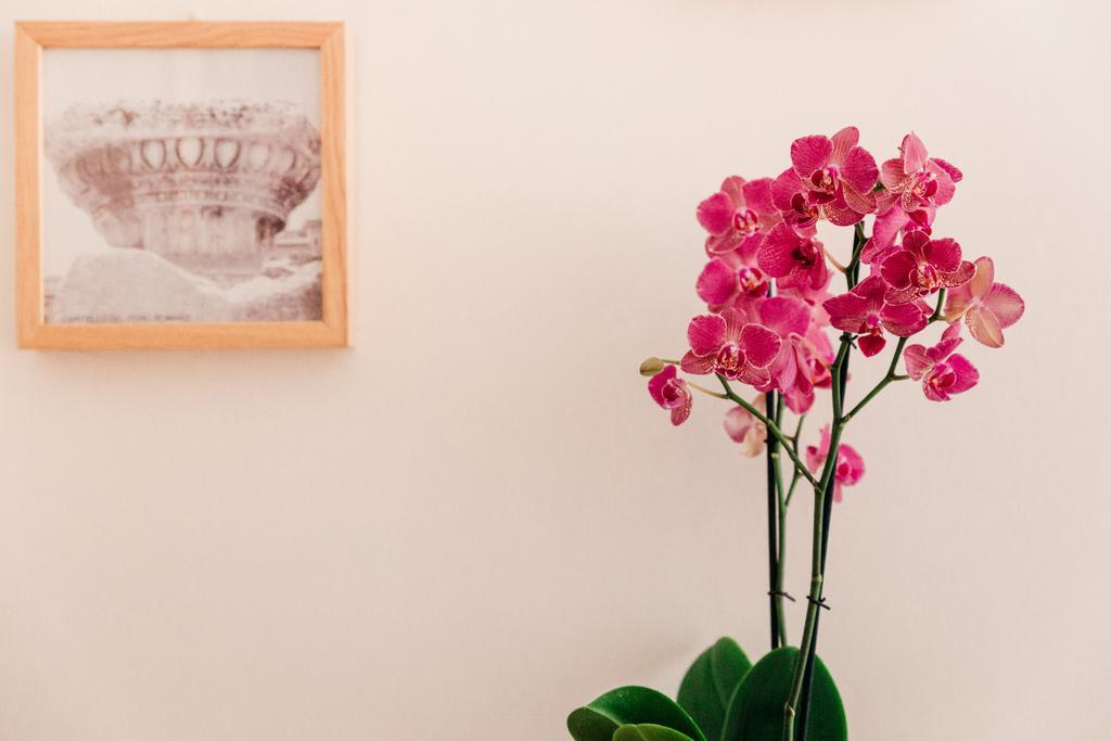 Bed and Breakfast Adriano Augusto Roma Camera foto